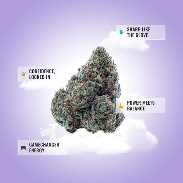 Gary Payton THCA Flower product image 3