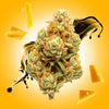 Donny Burger THCA Flower