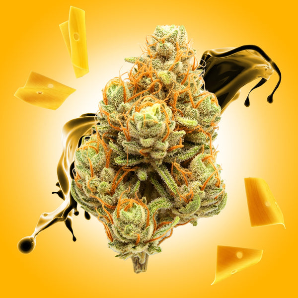 Donny Burger THCA Flower