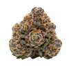 Glitter Bomb THCA Flower