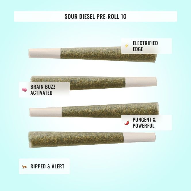 Energy Bundle