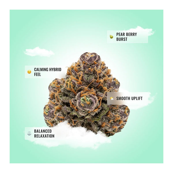 Glitter Bomb THCA Flower