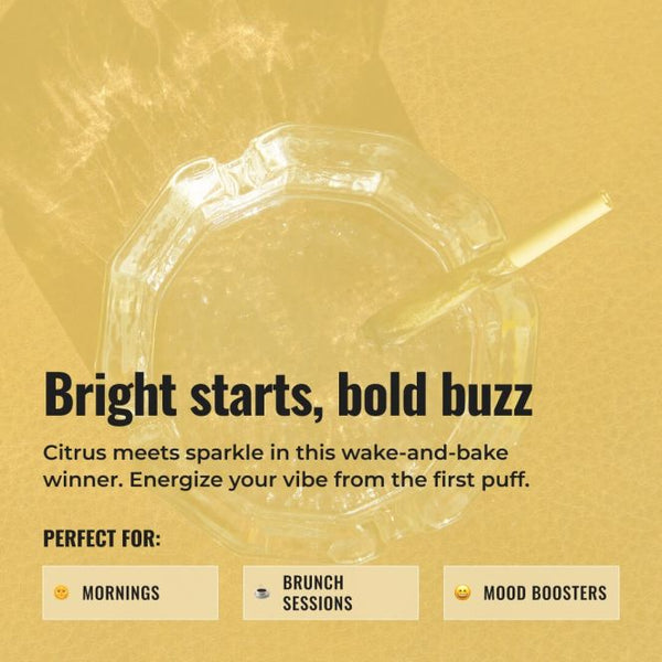 Mimosa Pre-Roll 1G product image 2