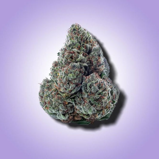 Gary Payton THCA Flower