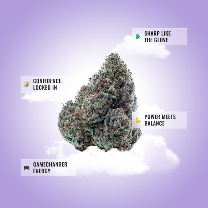 Gary Payton THCA Flower
