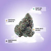 Gary Payton THCA Flower product image 3