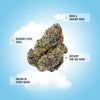 Gelato THCA Flower product image 3