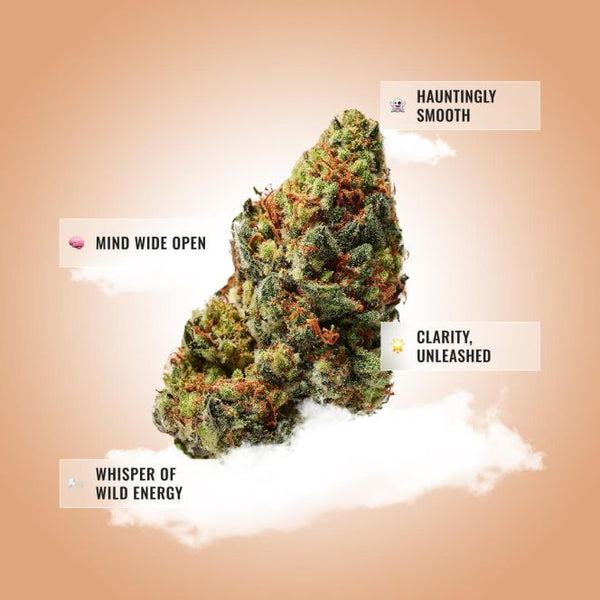 Ghost Train Haze THCA Flower product image 3