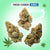 Fresh THCa Flower Bundle