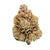 Oreoz THCA Flower
