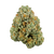Sour Diesel THCa Flower