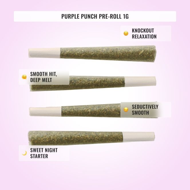 High Potency Bundle