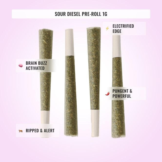 High Potency Bundle