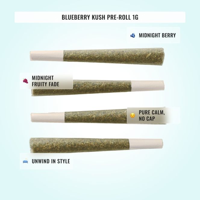 Medium Potency Bundle