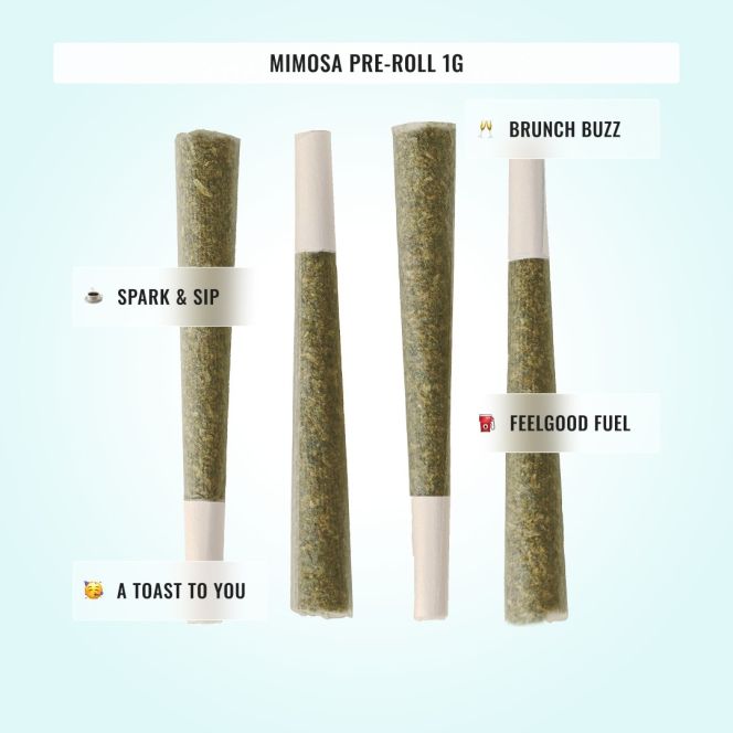 Medium Potency Bundle