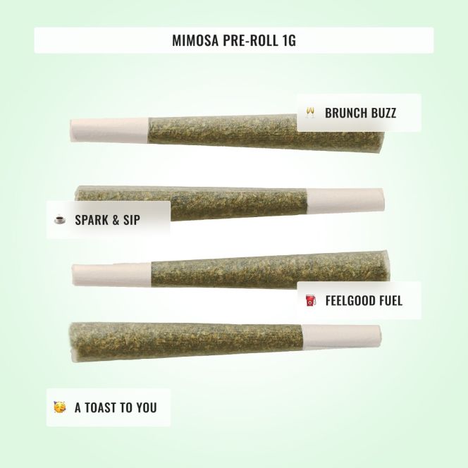 Mood Boost Bundle