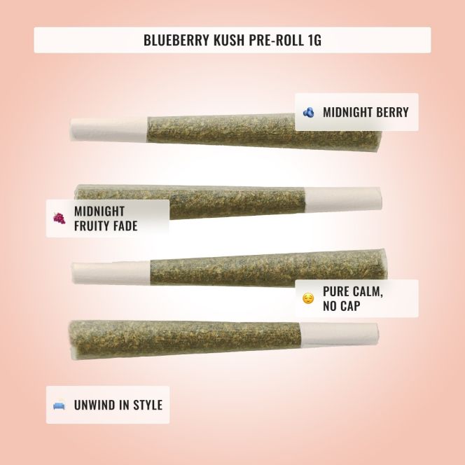 Relaxation Bundle