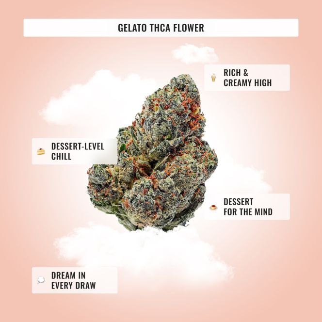 Relaxation Bundle
