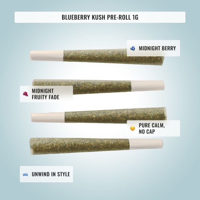 Sleep Bundle