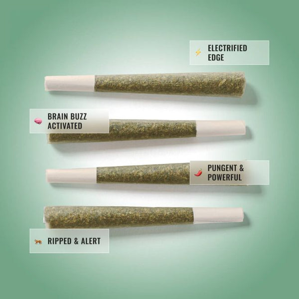 Sour Diesel Pre-Roll 1G product image 3