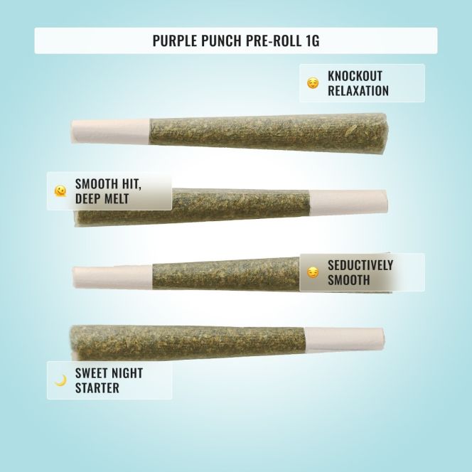 Starter Bundle